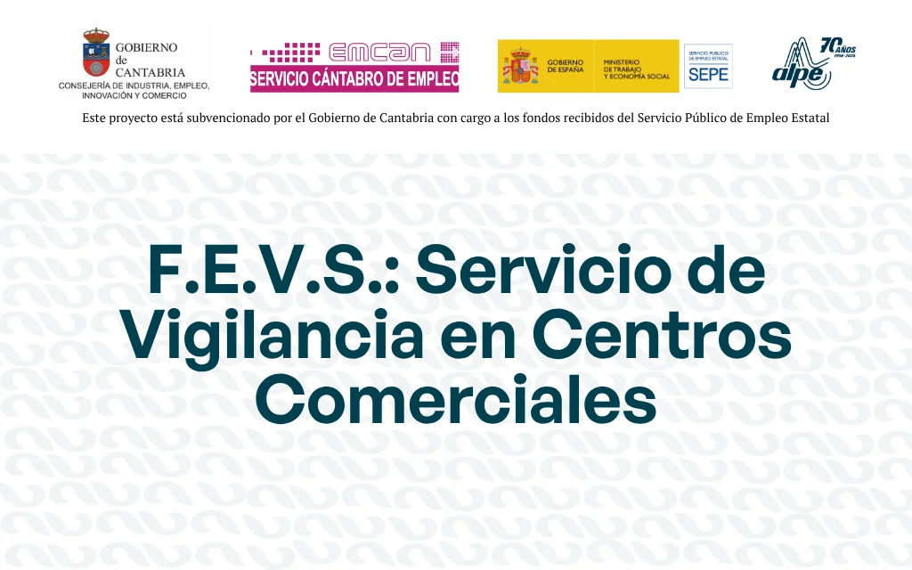 F.E.V.S.: SERVICIO DE VIGILANCIA EN CENTROS COMERCIALES