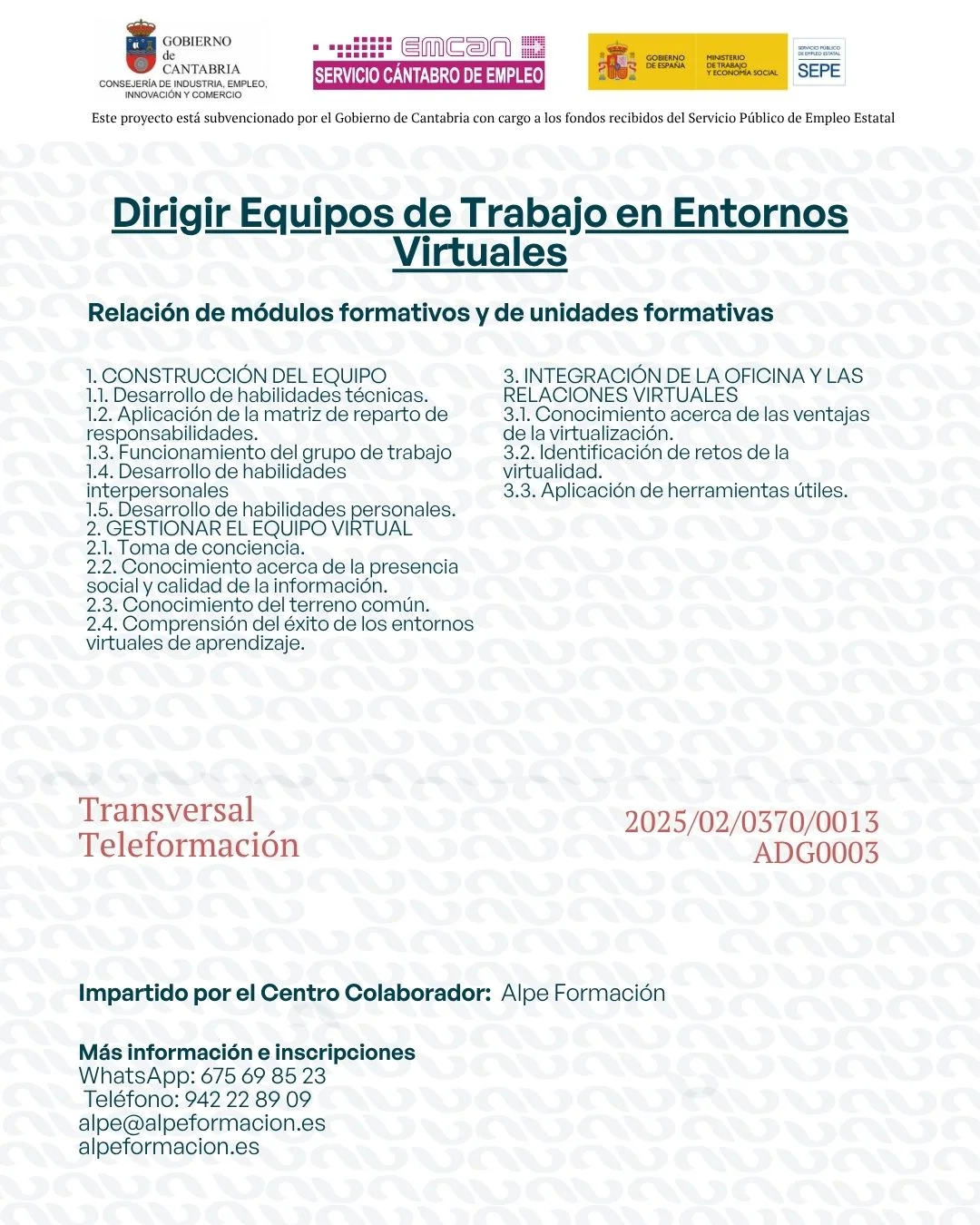 DIRIGIR EQUIPOS DE TRABAJO EN ENTORNOS VIRTUALES