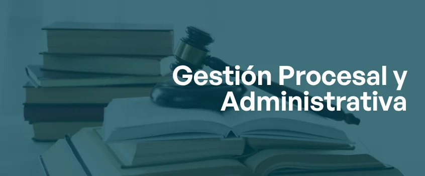 Gestión Procesal y Administrativa.png