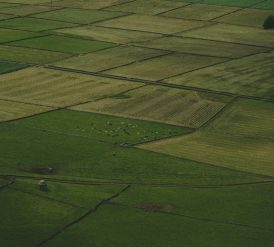 Agrario